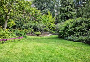 Optimiser l'expérience du jardin à Les Plains-et-Grands-Essarts
